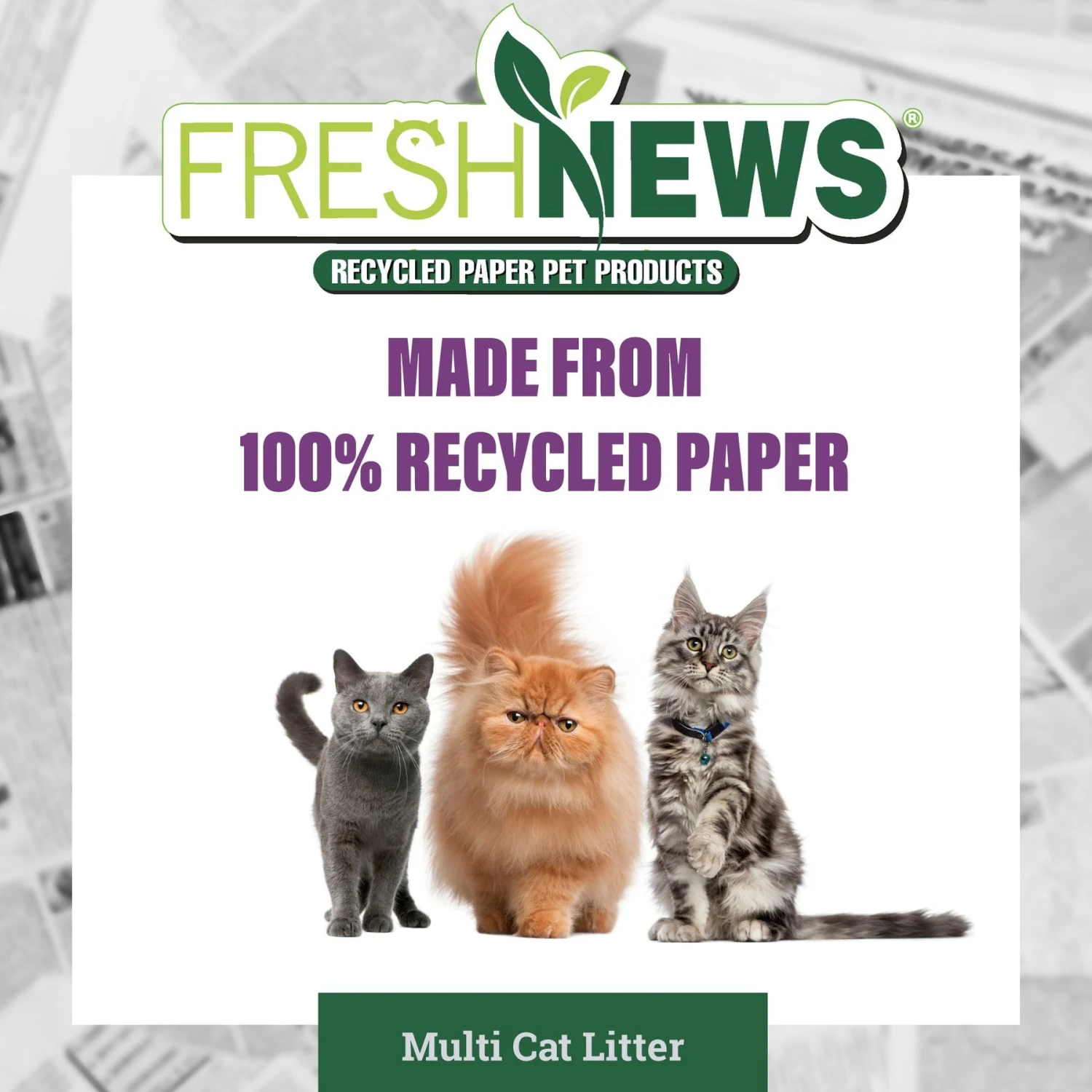 Fresh News Non-Clumping Scented Paper Cat Litter, 25-lb Bag 5 Fresh News Non-Clumping Scented Paper Cat Litter, 25-lb Bag - Image 5