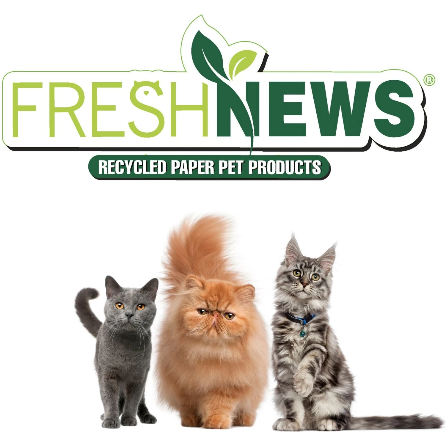 Fresh News Non-Clumping Scented Paper Cat Litter, 25-lb Bag 7 Fresh News Non-Clumping Scented Paper Cat Litter, 25-lb Bag - Image 7