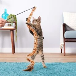 KONG Swizzle Bird Cat Teaser, Color Varies -Cat Supplies 54924 PT4. AC SS1800 V1545170365