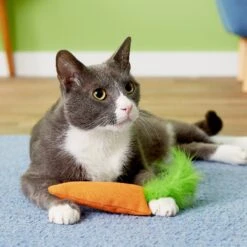 OurPets Catnip 24 Karat Cat Toy -Cat Supplies 55678 PT8. AC SS1800 V1503351353