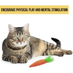 OurPets Catnip 24 Karat Cat Toy -Cat Supplies 55678 Pt2. AC SS1800 V1583765035