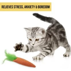 OurPets Catnip 24 Karat Cat Toy -Cat Supplies 55678 Pt6. AC SS1800 V1583765041