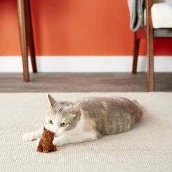 OurPets Backyard Squeaking Bunny Cat Toy -Cat Supplies 55742 PT5. AC SS1800 V1527256080