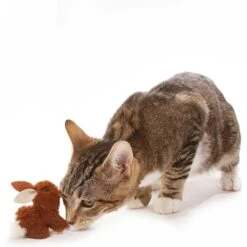 OurPets Backyard Squeaking Bunny Cat Toy -Cat Supplies 55742 PT8. AC SS1800 V1526316422