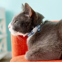 Red Dingo Nylon Reflective Breakaway Cat Collar With Bell -Cat Supplies 57577 PT8. AC SS1800 V1506967569