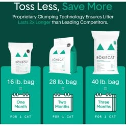 Boxiecat Gently Scented Premium Clumping Clay Cat Litter -Cat Supplies 582094 PT5. AC SS1800 V1658618566