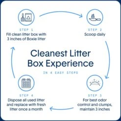 Boxiecat Extra Strength Unscented Premium Clumping Clay Cat Litter -Cat Supplies 582110 PT6. AC SS1800 V1658678546