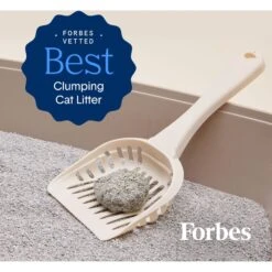 Boxiecat Deep Clean Unscented Probiotic Clumping Clay Cat Litter -Cat Supplies 582126 PT5. AC SS1800 V1658624606