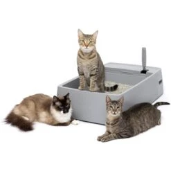 PetSafe Multi-Cat Litter Box -Cat Supplies 617526 PT6. AC SS1800 V1660255555
