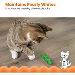 Catstages ORKAkat Wiggle Worm Cat Toy With Catnip -Cat Supplies 62030 PT3. AC SS1800 V1636497479