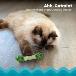 Catstages Fresh Breath Mint Stick Cat Chew Toy -Cat Supplies 62044 PT2. AC SS1800 V1636519877