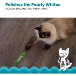 Catstages Fresh Breath Mint Stick Cat Chew Toy -Cat Supplies 62044 PT3. AC SS1800 V1636513103