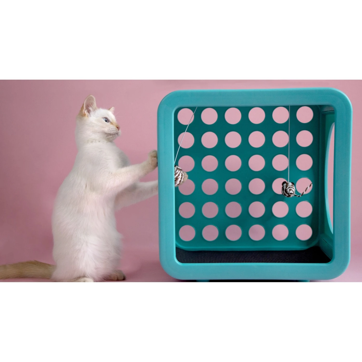 Kitty Kasa Snap On Recreation Cat House 3 Kitty Kasa Snap On Recreation Cat House - Image 3