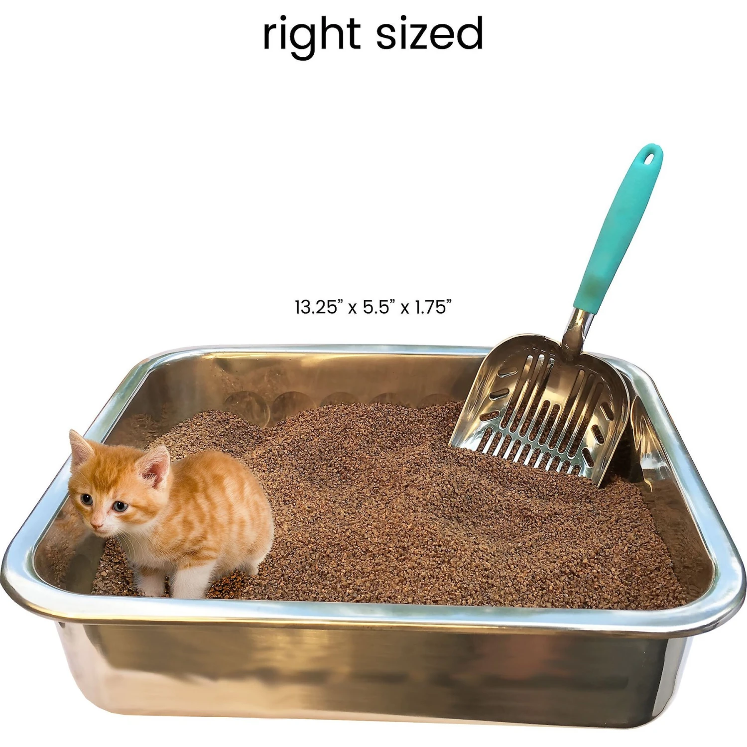 DurAnimals DuraScoop Original Cat Litter Scoop, Color Varies 7 DurAnimals DuraScoop Original Cat Litter Scoop, Color Varies - Image 7