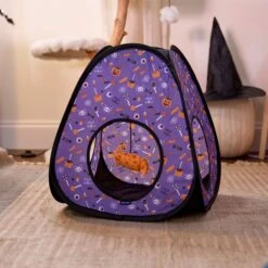 Goody Box Halloween Cat Toys & Treats -Cat Supplies 631182 PT4. AC SS1800 V1690839980