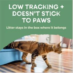 Naturally Fresh Quick Clumping Unscented Cat Litter, 40-lb Bag -Cat Supplies 639646 PT7. AC SS1800 V1664228407