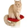 SmartCat The Ultimate Cat Scratching Post Perch Pad