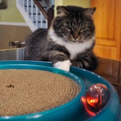 Bergan Replacement Twinkle Ball Cat Toy, Color Varies -Cat Supplies 64234 PT2. AC SS1800 V1673648559