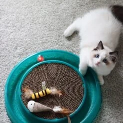 Bergan Replacement Twinkle Ball Cat Toy, Color Varies -Cat Supplies 64234 PT3. AC SS1800 V1673648559