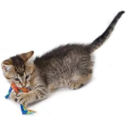 Catstages Dental Cat Chew Toy With Catnip, Color Varies -Cat Supplies 64661 PT5. AC SS1800 V1636519583