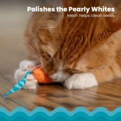 Catstages Mice Cat Chew Toy With Catnip -Cat Supplies 64672 PT2. AC SS1800 V1636506377