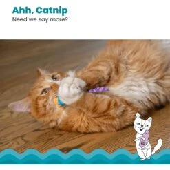 Catstages Mice Cat Chew Toy With Catnip -Cat Supplies 64672 PT3. AC SS1800 V1636517204