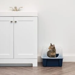 IRIS USA Open Top Litter Box With Scatter Shield -Cat Supplies 65498 PT2. AC SS1800 V1680803978