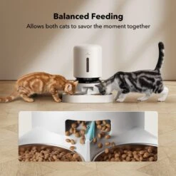 Petlibro Granary Automatic Two Cat & Dog Feeder With Camera -Cat Supplies 661270 PT6. AC SS1800 V1665174479