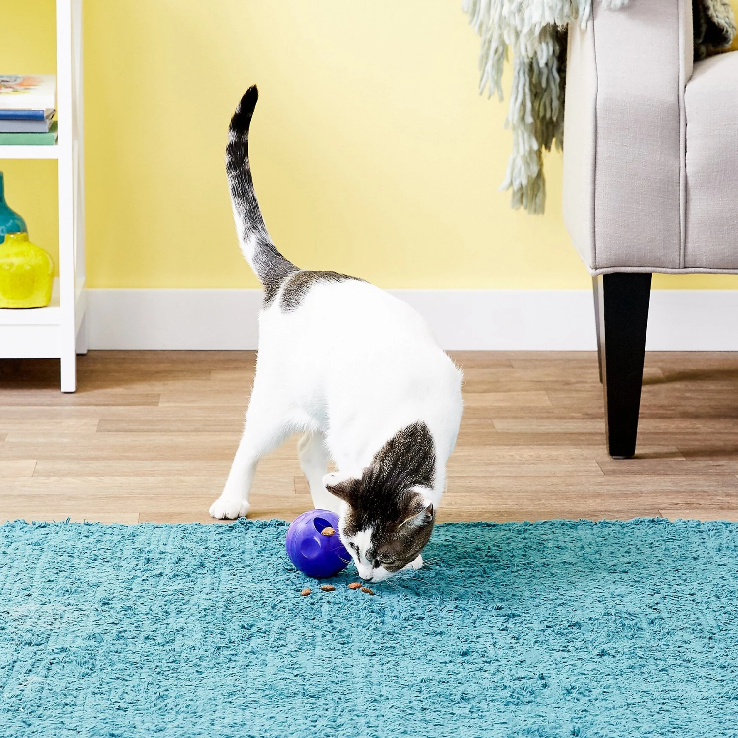 KONG Active Treat Ball Cat Toy 2 KONG Active Treat Ball Cat Toy - Image 2
