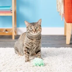 KONG Moppy Ball Cat Toy, Color Varies -Cat Supplies 66570 PT6. AC SS1800 V1603164687