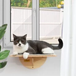 Coziwow Cat Window Perch With Suction Cups, Natural Wood -Cat Supplies 668486 PT2. AC SS1800 V1666733674