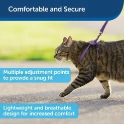 PetSafe Come With Me Kitty Nylon Cat Harness & Bungee Leash -Cat Supplies 67153 PT2. AC SS1800 V1601010073