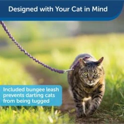 PetSafe Come With Me Kitty Nylon Cat Harness & Bungee Leash -Cat Supplies 67153 PT4. AC SS1800 V1601000459