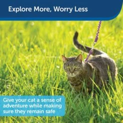 PetSafe Come With Me Kitty Nylon Cat Harness & Bungee Leash -Cat Supplies 67153 PT5. AC SS1800 V1601018758