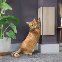 Way Basics Eco ZBoard Corner Wall Cat Scratching Pad -Cat Supplies 675318 PT1. AC SS1800 V1665781228