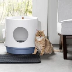 Hanamya Cat Litter Box With Scoop & Scratcher -Cat Supplies 677142 PT8. AC SS1800 V1680728860