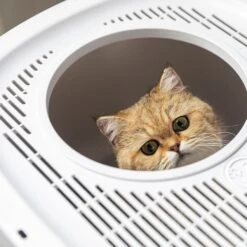 Hanamya Cat Front Entry Top Exit Cat Litter Box With Scoop, X-Large -Cat Supplies 677158 PT5. AC SS1800 V1680728859