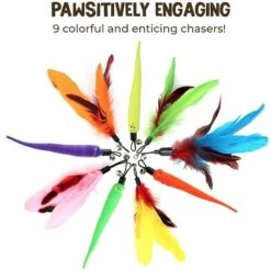 SunGrow Feather Teaser Wand & Fishing Pole Interactive Toy For Indoor Cat & Dog, 11 Count -Cat Supplies 684822 PT2. AC SS1800 V1694455029