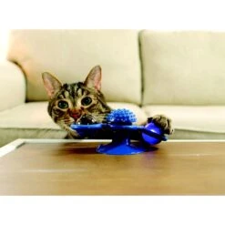 Pets Know Best Purrfect Spinner Cat Toy, Blue -Cat Supplies 691606 PT2. AC SS1800 V1667519297