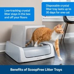 PetSafe ScoopFree Complete Disposable Crystal Litter Tray & PetSafe ScoopFree Complete Plus Self-Cleaning Litter Box 12 PetSafe ScoopFree Complete Disposable Crystal Litter Tray & PetSafe ScoopFree Complete Plus Self-Cleaning Litter Box -Cat Supplies 694182 PT3. AC SS1800 V1668531824