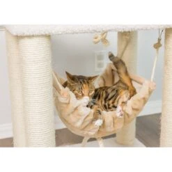 Armarkat 73-in Faux Fleece Cat Tree & Condo -Cat Supplies 70208 PT4. AC SS1800 V1582739498