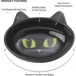 PetRageous Designs Frisky Kitty Oval Cat Dish -Cat Supplies 70333 PT5. AC SS1800 V1660340873