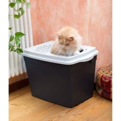 Ferplast "Jumpy" With Top Entrance Cat Litter Box, Black, Large 11 Ferplast "Jumpy" With Top Entrance Cat Litter Box, Black, Large -Cat Supplies 703926 PT5. AC SS1800 V1668458444