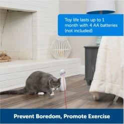 PetSafe Bolt Interactive Laser Cat Toy -Cat Supplies 70843 PT5. AC SS1800 V1676317808