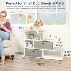 PetFusion Hybrid Cat Bookshelf & 3 Perches, White 11 PetFusion Hybrid Cat Bookshelf & 3 Perches, White -Cat Supplies 710246 PT5. AC SS1800 V1671724586