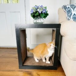 Designer Pet Products Bailey Cat Scratcher End Table 11 Designer Pet Products Bailey Cat Scratcher End Table -Cat Supplies 722862 PT4. AC SS1800 V1671037947