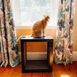 Designer Pet Products Bailey Cat Scratcher End Table 12 Designer Pet Products Bailey Cat Scratcher End Table -Cat Supplies 722862 PT5. AC SS1800 V1671037944