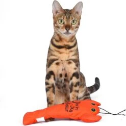 Fetch For Pets Friends You're My Lobster Kicker Plush Cat Toy With Catnip -Cat Supplies 729182 PT3. AC SS1800 V1682608378