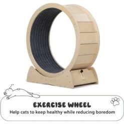 Coziwow Exercise Wheel With Lock & Teaser Cat Treadmill -Cat Supplies 731054 PT3. AC SS1800 V1686337888