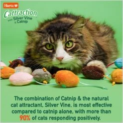 Hartz Cattraction Crinkle Mice Cat Toy, Multi Color, 10 Count -Cat Supplies 731710 PT2. AC SS1800 V1676317773